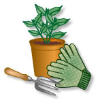 Gardening gloves and trowel