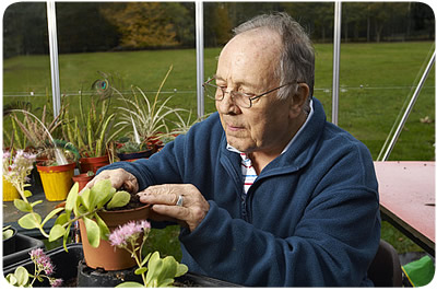 Man potting plants in a greenhouse